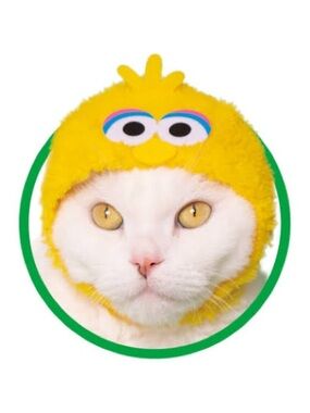 Japan Gashapon Sesame Street pet Costume Hat - Big Bird